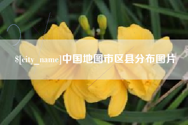 文山中国地图市区县分布图片