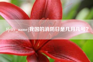 文山我国的消防日是几月几号？