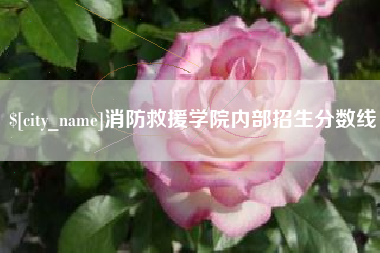 文山消防救援学院内部招生分数线
