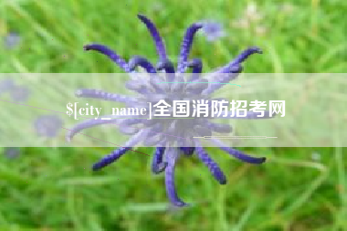 文山全国消防招考网