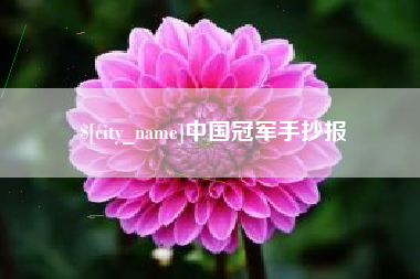 文山中国冠军手抄报