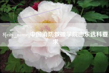 文山中国消防救援学院山东选科要求