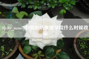 文山中国消防救援学院什么时候政审