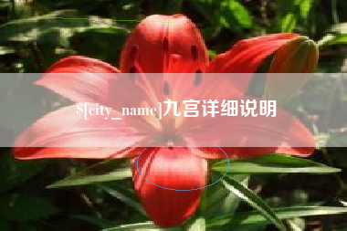 文山九宫详细说明