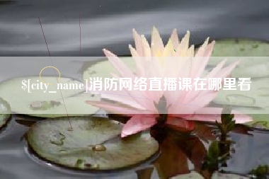 文山消防网络直播课在哪里看