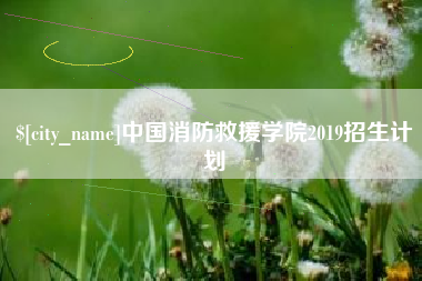 文山中国消防救援学院2019招生计划