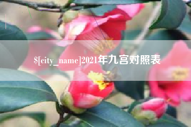文山2021年九宫对照表