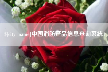 文山中国消防产品信息查询系统1