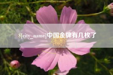 文山中国金牌有几枚了