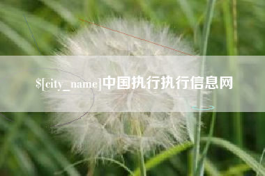 文山中国执行执行信息网