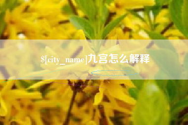 文山九宫怎么解释