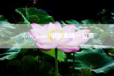 文山中国金牌一览表