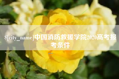 文山中国消防救援学院2020高考报考条件