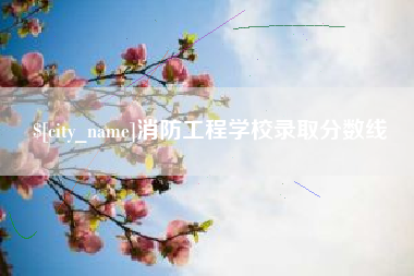 文山消防工程学校录取分数线