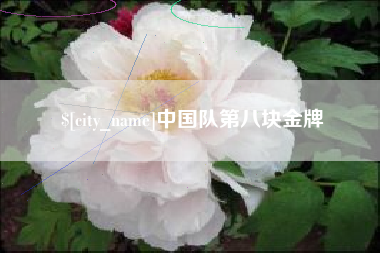 文山中国队第八块金牌