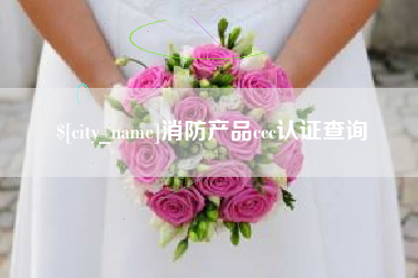 文山消防产品ccc认证查询