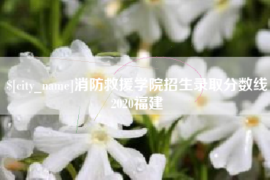 文山消防救援学院招生录取分数线2020福建