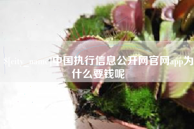 文山中国执行信息公开网官网app为什么要钱呢