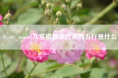 文山九宫格数字代表的五行是什么