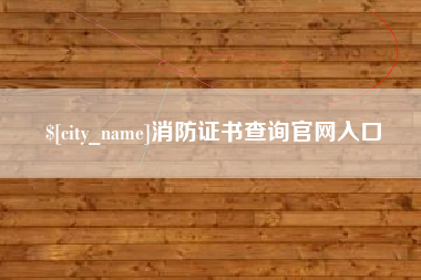 文山消防证书查询官网入口