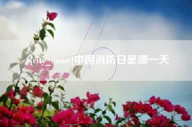 文山中国消防日是哪一天