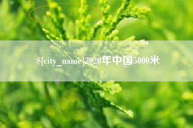 文山2020年中国5000米