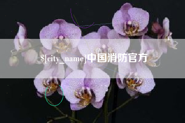 文山中国消防官方