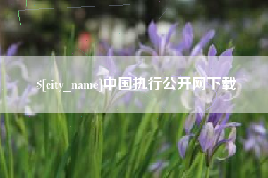 文山中国执行公开网下载