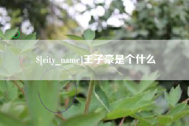 文山王子豪是个什么