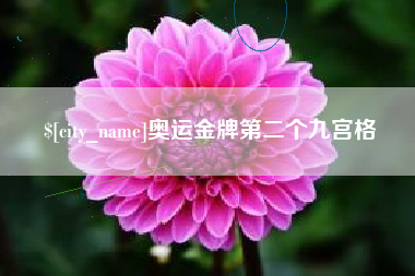 文山奥运金牌第二个九宫格