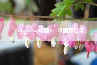 文山中国5000米国家记录