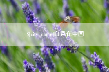 文山白色在中国