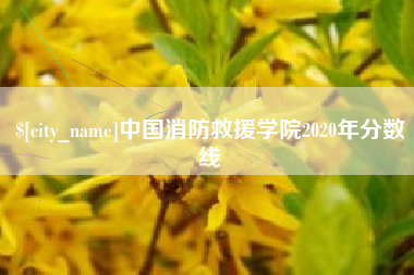 文山中国消防救援学院2020年分数线
