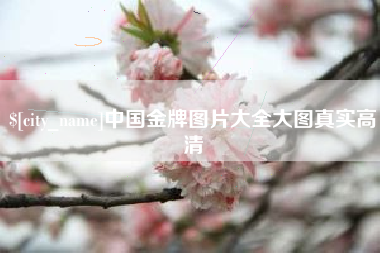 文山中国金牌图片大全大图真实高清