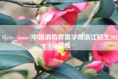 文山中国消防救援学院浙江招生2020分数线