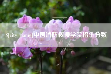 文山中国消防救援学院招生分数