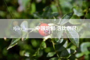 文山中国地图(含比例尺)