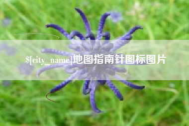 文山地图指南针图标图片