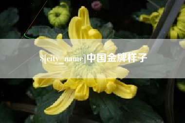 文山中国金牌样子