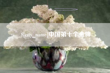 文山中国第十个金牌