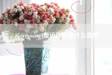 文山奥运连冠是什么意思
