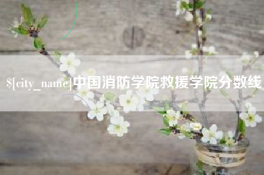 文山中国消防学院救援学院分数线