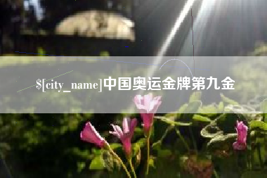 文山中国奥运金牌第九金
