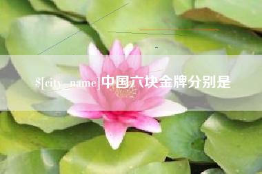 文山中国六块金牌分别是