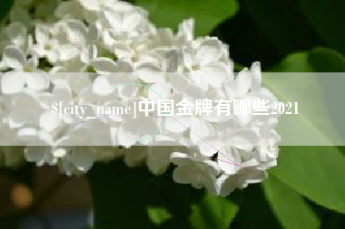 文山中国金牌有哪些2021