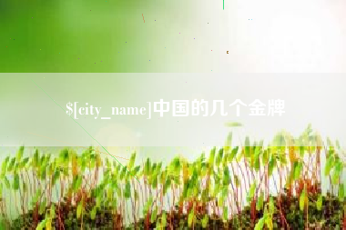 文山中国的几个金牌