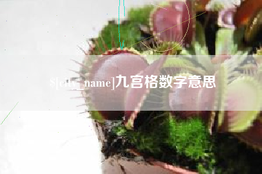 文山九宫格数字意思