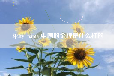 文山中国的金牌是什么样的