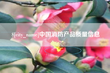 文山中国消防产品质量信息