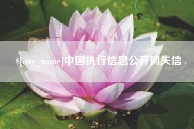 文山中国执行信息公开网失信